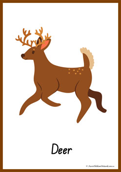 Animals Alphabet Poster D