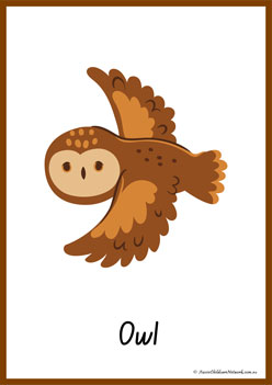 Animals Alphabet Poster O