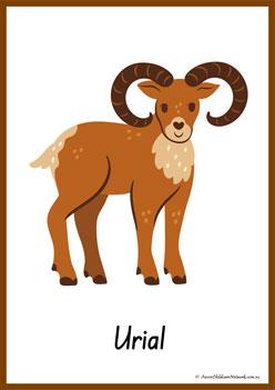 Animals Alphabet Poster U