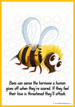 Facts About Bees 5