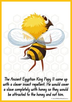 Facts About Bees 8