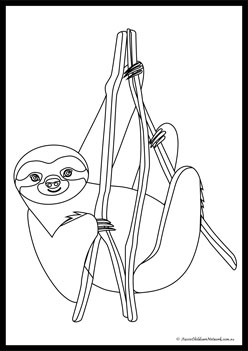 Sloth Colouring Pages 1