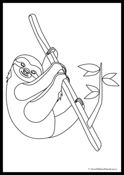 Sloth Colouring Pages 6