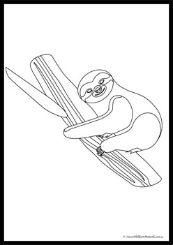 Sloth Colouring Pages 9