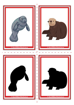 Ocean Shadow Flashcards Set6