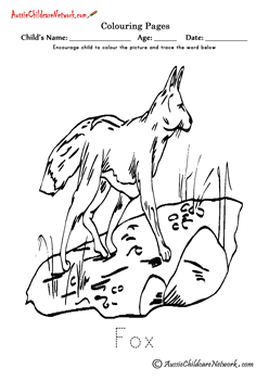 Coloring Fox
