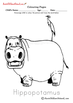 Colouring Hippopotamus