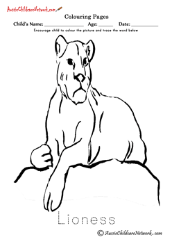 Colouring Lioness