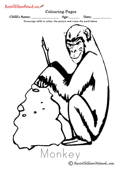 Colouring Monkey