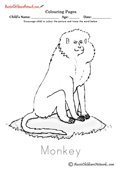 Colouring Wild Monkey