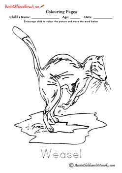 Colouring Weasel