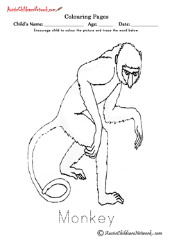 Colouring Monkey