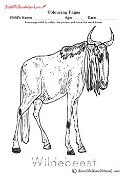 Coloring Wildebeest