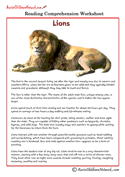 reading comprehension printable worksheets