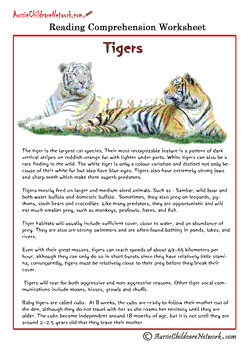 Comprehension Worksheets