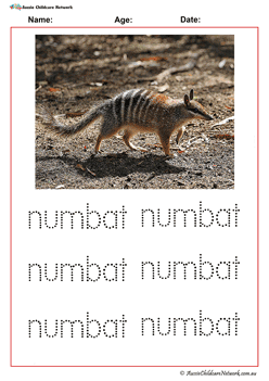 Tracing Australian Animals Numbat